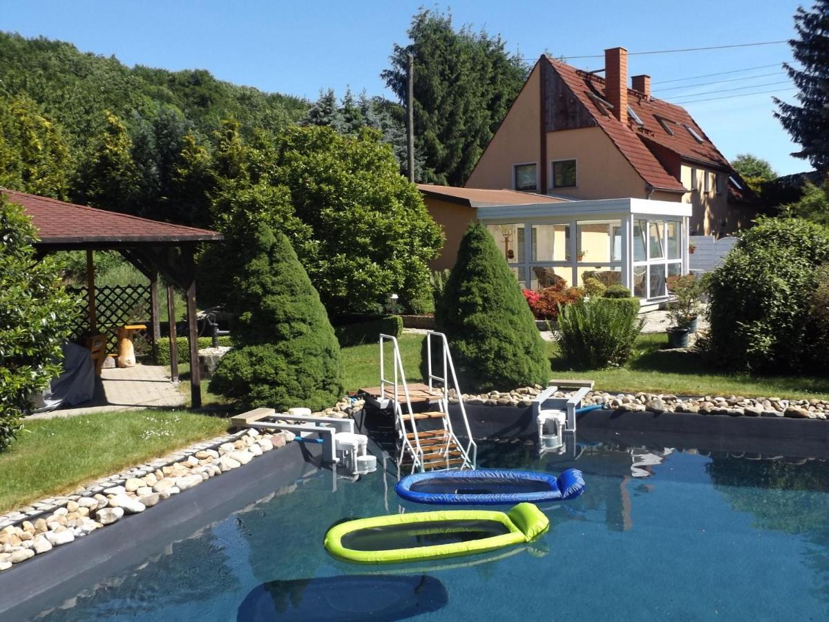 Cosy Apartment With In Pirna With Private Terrace Habitación foto