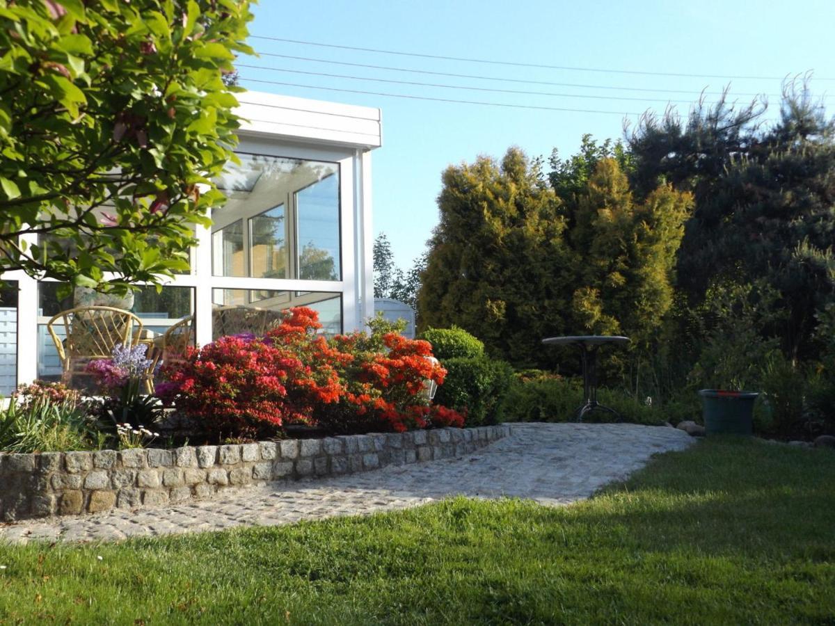 Cosy Apartment With In Pirna With Private Terrace Habitación foto